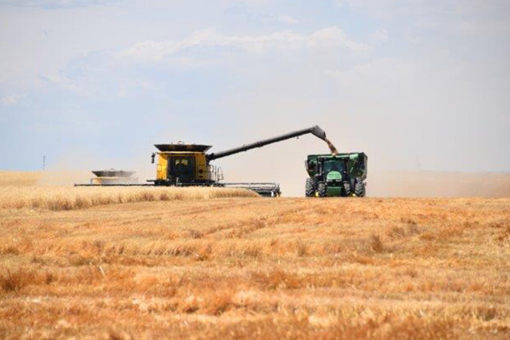 John Deere and New Holland combine harvesting wheat on a northeast Colorado farm, a customer of Premier Farm Credit, an ag lender who also provides crop insurance and appraisals